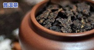 什么普洱茶最香更好，探秘普洱茶世界：什么普洱茶最香更好？