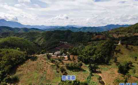 龙园茶普洱茶图片，欣赏龙园茶普洱茶的美丽图片