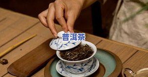 茶叶大全及图片大，探索茶文化的无限魅力：茶叶大全及图片大带你走进茶叶的世界