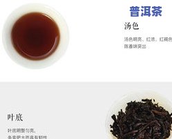 普洱茶存储方法有几种，探究普洱茶的存储方法：你该了解的几种方式