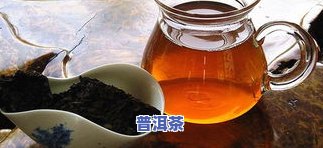 普洱茶字号排名之一，探秘茶叶：普洱茶字号荣登榜首，何以称王？