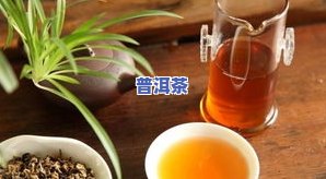 小普洱茶的功效与作用，揭秘小普洱茶的神奇功效与作用，你不可不知！