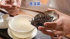 小包普洱茶怎么泡，详细教程：如何泡制美味的小包普洱茶？