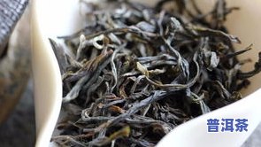 普洱茶最新排名-普洱茶最新排名榜