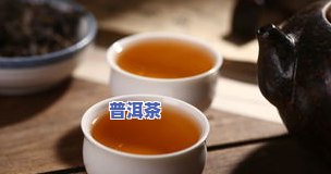 大少普洱何文源，何文源：大少普洱的与他的茶业故事