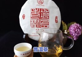 冰岛普洱茶特点口感，探索冰岛普洱茶的独特口感特点