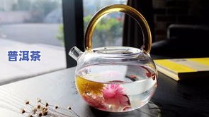 普洱茶湿热体质能喝吗，湿热体质适合饮用普洱茶吗？