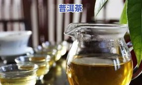 十大高端普洱茶排行榜，探秘茶道世界：揭秘十大高端普洱茶排行榜