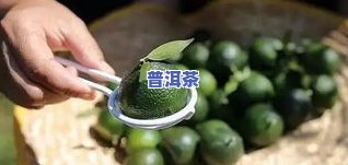 正宗小青柑普洱茶的价格，揭秘正宗小青柑普洱茶市场价格，一文告诉你多少钱合适