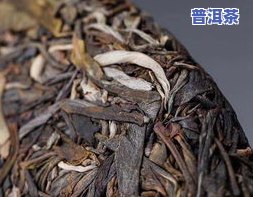 普洱茶新秀-普洱茶新秀