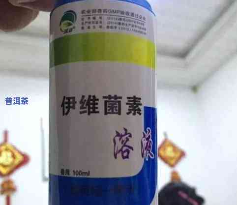 茶叶专用杀虫，茶叶的守护神：专业杀虫让茶叶更健康