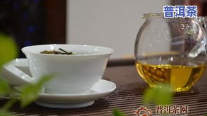 柔媚普洱茶，柔媚风情：探索普洱茶的魅力世界