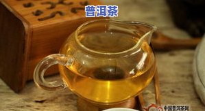 普洱茶专用小罐子价格表及图片，最新普洱茶专用小罐子价格表及高清图片一览