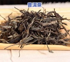 猫耳朵普洱茶是古树吗-猫耳朵普洱茶特点简介