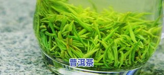 茶叶螨类用什么农效果好些，茶叶害虫防治：哪些农对茶叶螨类最有效？