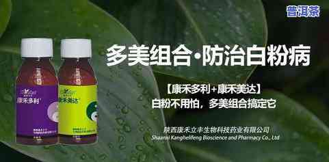 茶叶螨类用什么农效果好些，茶叶害虫防治：哪些农对茶叶螨类最有效？