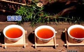 如何鉴别普洱茶年份，普洱茶鉴定技巧：如何准确鉴别普洱茶的年份？