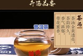 0754普洱茶，品味云南风情：探索0754普洱茶的魅力