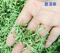 一撮茶叶多少克，如何确定一撮茶叶的重量？