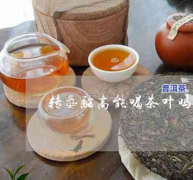 永明之光普洱茶好不好-永明之光 普洱茶