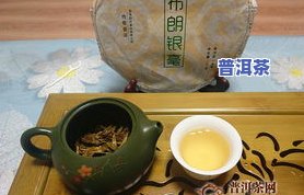 普洱茶银毫是什么意思-普洱银毫价格