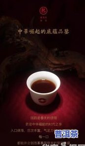 东卓茶业是什么档次，探秘高档次茶叶：东卓茶业