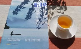 普洱茶四位数含义，探秘普洱茶的四位数含义：你不知道的秘密