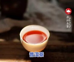 糯米普洱茶哪个牌子的味道好，寻找美味：比较不同的糯米普洱茶味道