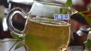 不同茶山的普洱茶可以放在一起，融合多元口感：不同茶山普洱茶的混饮之道