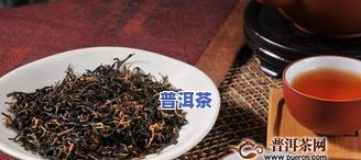 普洱茶适合人群喝的，了解普洱茶：适合哪些人群饮用？