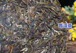 高山乔木普洱茶生茶价格375克，品味自然之韵：高山乔木普洱茶生茶，375克仅售XX元！