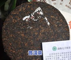 高山乔木普洱茶价格，探秘高山乔木普洱茶的市场价格与品质