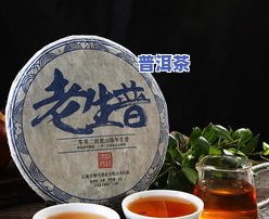 普洱茶产品简介，探秘云南特色：普洱茶产品简介