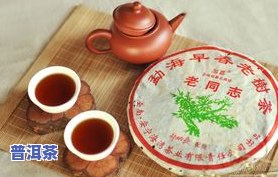 普洱茶功能介绍-普洱茶功能介绍图片