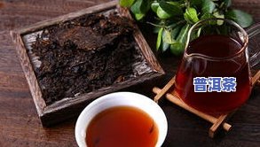 普洱茶功能介绍-普洱茶功能介绍图片