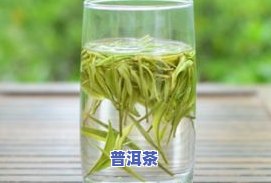 茶叶用什么保鲜，茶叶保鲜指南：选择最适合的保存方法