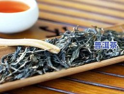 普洱茶长在哪里，揭秘普洱茶的故乡：探索这类著名茶叶的生长环境