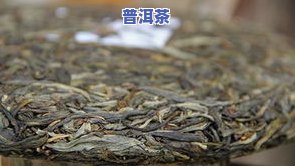 普洱茶生长在哪里，揭秘普洱茶的故乡：探寻这类特别茶叶的生长环境