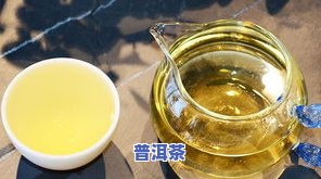 易武原产普洱茶怎么样喝的，品味古韵：探索易武原产普洱茶的特别口感与冲泡技巧