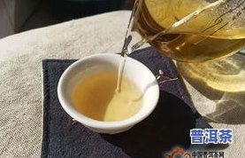 易武普洱茶有哪些品种，探秘易武普洱茶：了解其多样化的品种