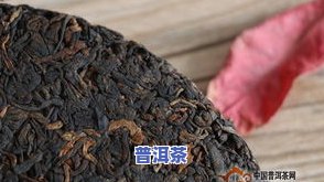 易武普洱茶有哪些品种，探秘易武普洱茶：了解其多样化的品种