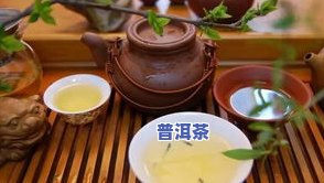 哪的普洱茶好喝-哪的普洱茶好喝又便宜