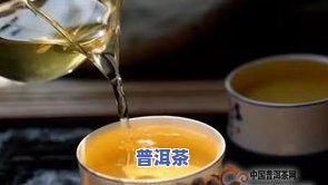 七饼普洱茶-七饼普洱茶饼价格