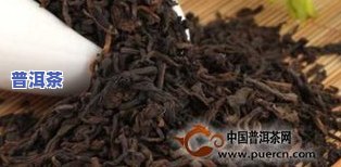 大红柑普洱茶直播之一名-大红柑普洱茶价格