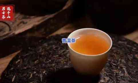 买普洱茶起什么名字好听-买普洱茶起什么名字好听点