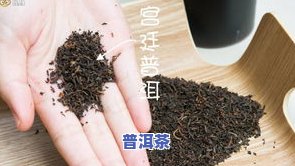 天冷喝普洱茶什么味道更好喝，冬季必备：普洱茶的温暖口感与更佳品饮体验