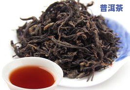 普洱茶出金花吗，普洱茶会出金花吗？揭开神秘面纱！