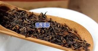 麻黑普洱茶特点，探秘麻黑普洱茶的独特魅力：口感、香气与功效的全方位解析