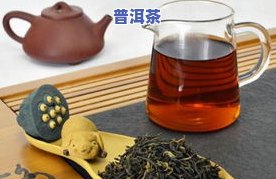 红茶和普洱茶加工区别-红茶和普洱茶加工区别在哪