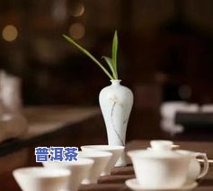 净心有机普洱茶怎么样-净心茶是什么茶